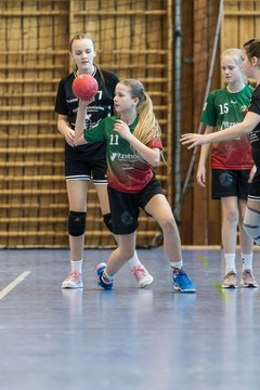 Bild 171 - wDJ HSG Kremperheide/Muensterdorf - TSV SR Schuelp : Ergebnis: 26:5
